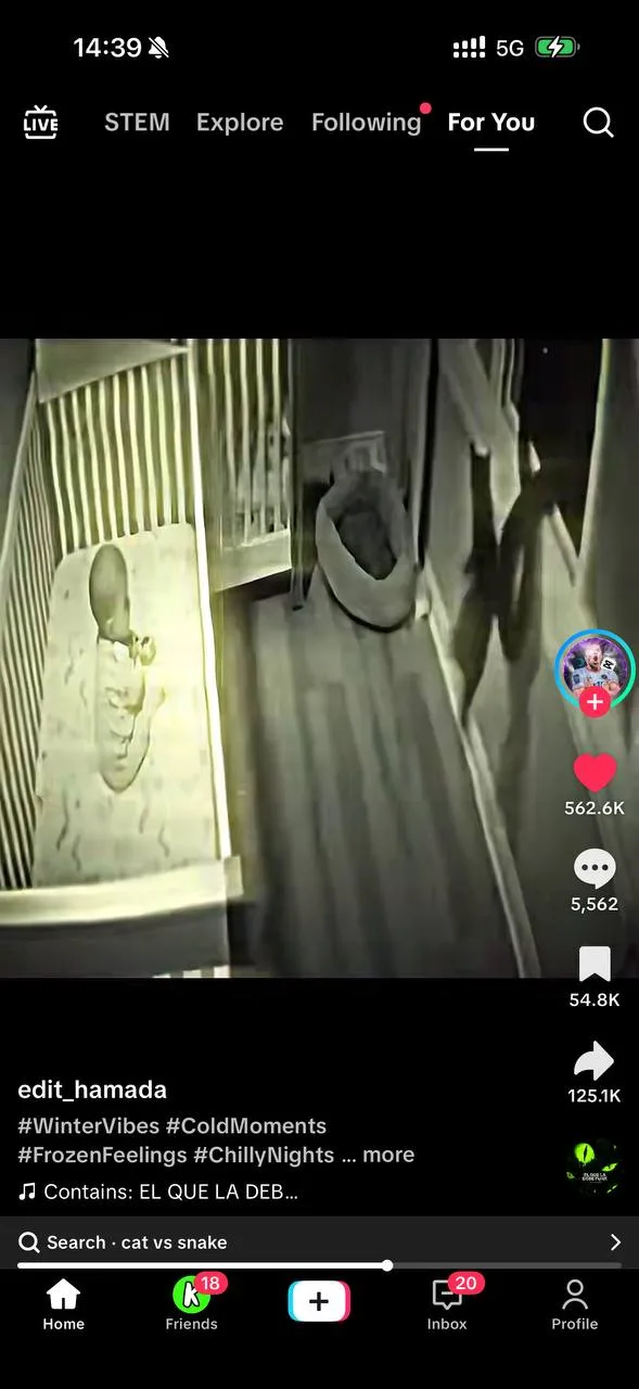 AI cat saves baby from snake