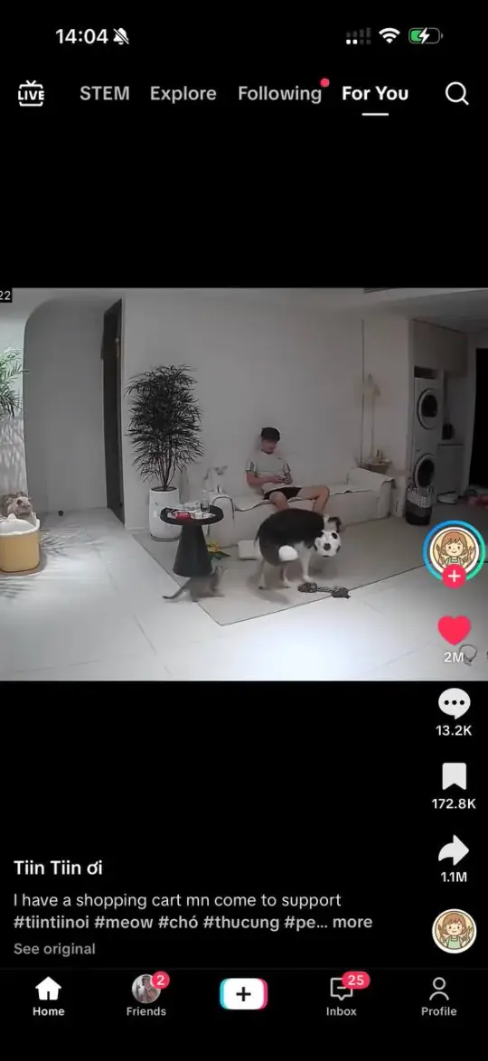 AI animal video